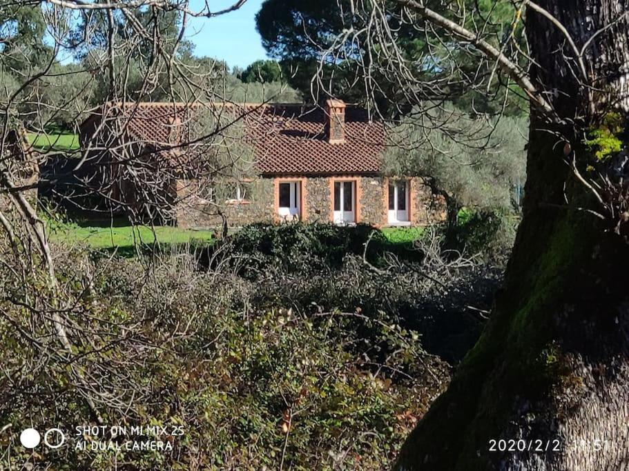 Villa Olivae Aracena Exterior foto