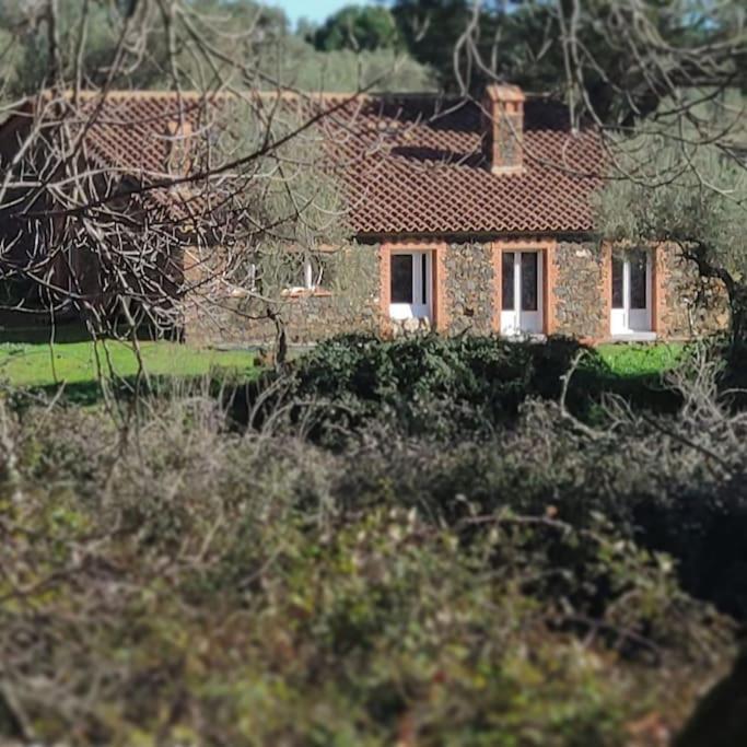 Villa Olivae Aracena Exterior foto
